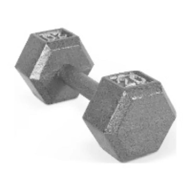 20lb Cast Iron Hex Dumbbell Single, Solid One Piece Weight for Home Gym Strength Training, Anti Roll Design