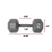 20lb Cast Iron Hex Dumbbell Single, Solid One Piece Weight for Home Gym Strength Training, Anti Roll Design