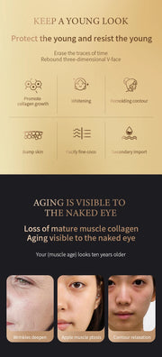 Red Light Collagen Regeneration Anti-Aging RF Anti-Wrinkle Beauty Device EMS Microcurrent Skin Tightening Face Lifting Massager